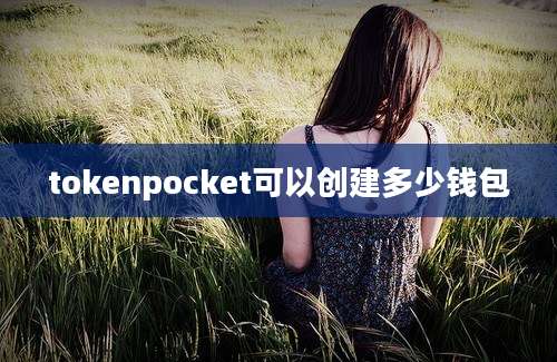 tokenpocket可以创建多少钱包