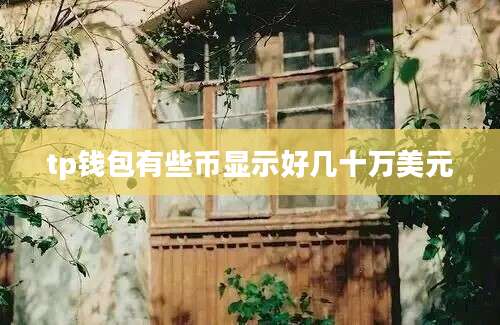 tp钱包有些币显示好几十万美元