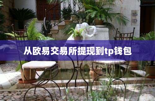 从欧易交易所提现到tp钱包