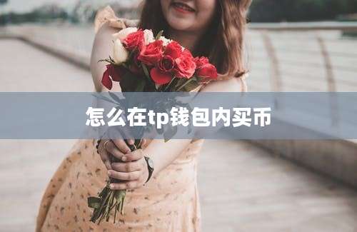 怎么在tp钱包内买币