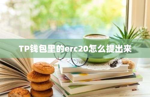 TP钱包里的erc20怎么提出来