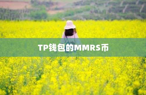TP钱包的MMRS币