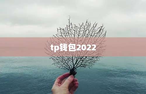tp钱包2022
