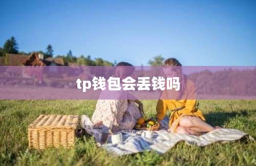 tp钱包会丢钱吗