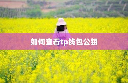 如何查看tp钱包公钥