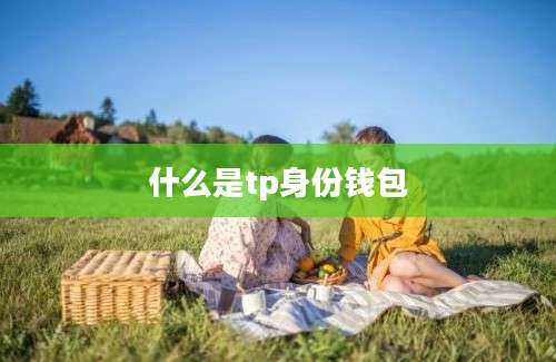 什么是tp身份钱包