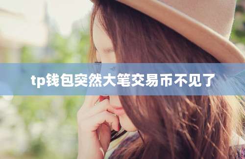 tp钱包突然大笔交易币不见了