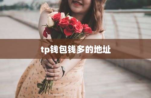 tp钱包钱多的地址
