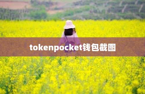 tokenpocket钱包截图