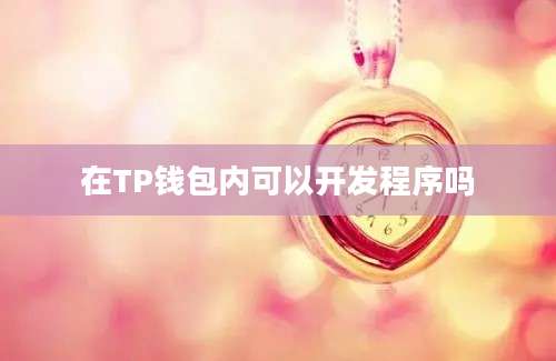 在TP钱包内可以开发程序吗
