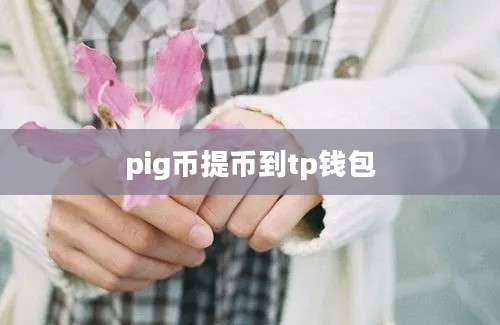 pig币提币到tp钱包