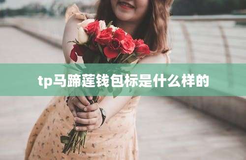 tp马蹄莲钱包标是什么样的