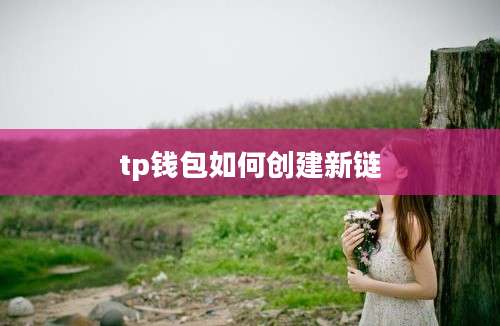 tp钱包如何创建新链