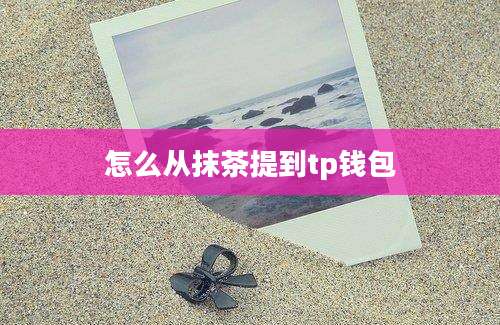 怎么从抹茶提到tp钱包