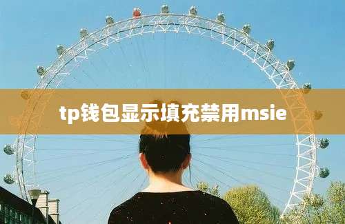 tp钱包显示填充禁用msie