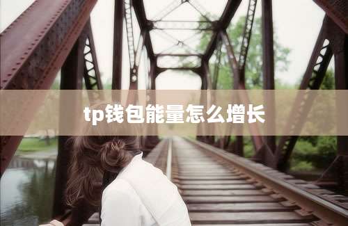 tp钱包能量怎么增长