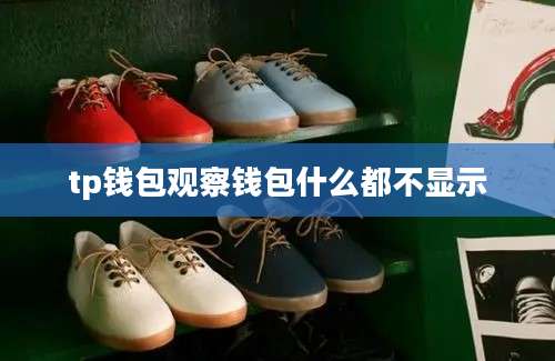 tp钱包观察钱包什么都不显示