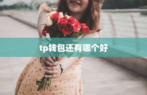 tp钱包还有哪个好