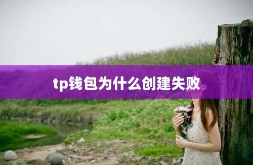 tp钱包为什么创建失败