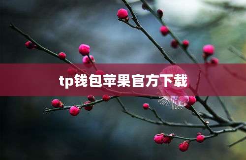 tp钱包苹果官方下载