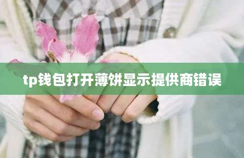 tp钱包打开薄饼显示提供商错误