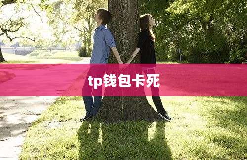 tp钱包卡死