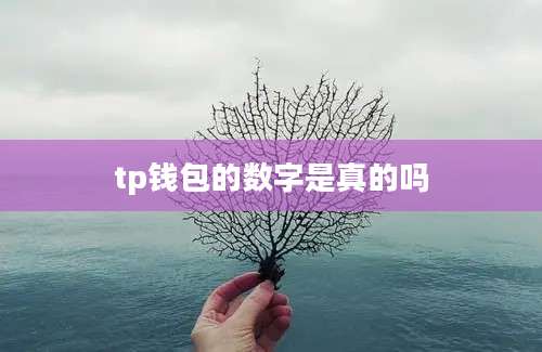 tp钱包的数字是真的吗
