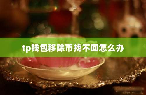 tp钱包移除币找不回怎么办