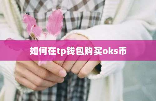 如何在tp钱包购买oks币