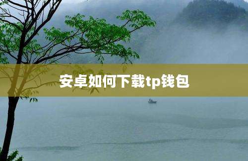 安卓如何下载tp钱包