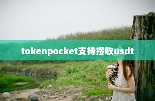 tokenpocket支持接收usdt