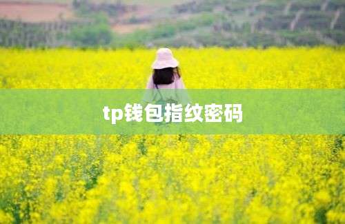 tp钱包指纹密码