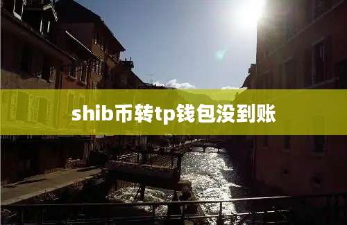 shib币转tp钱包没到账