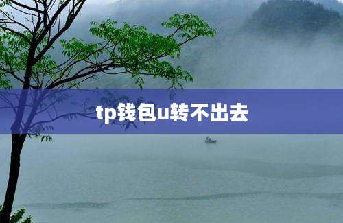 tp钱包u转不出去