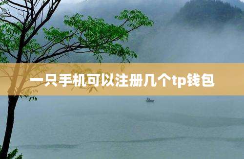 一只手机可以注册几个tp钱包