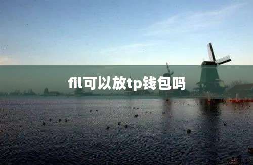 fil可以放tp钱包吗