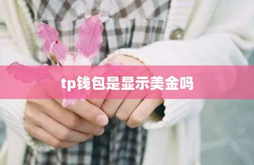 tp钱包是显示美金吗
