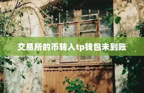 交易所的币转入tp钱包未到账