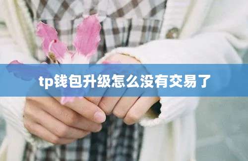 tp钱包升级怎么没有交易了