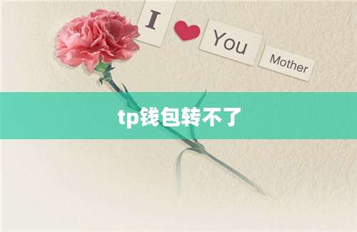 tp钱包转不了