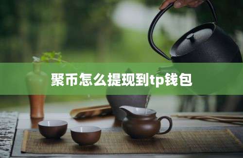 聚币怎么提现到tp钱包