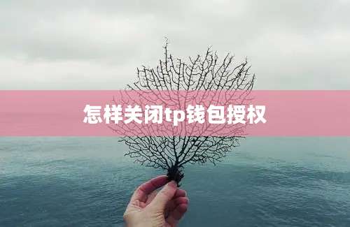 怎样关闭tp钱包授权