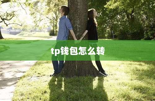 tp钱包怎么转