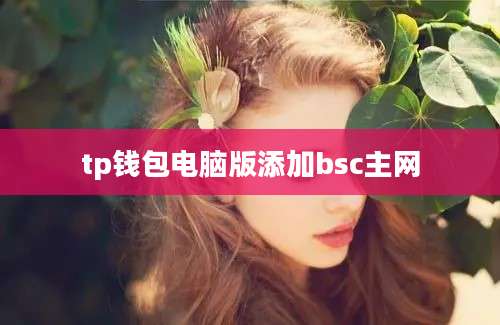 tp钱包电脑版添加bsc主网