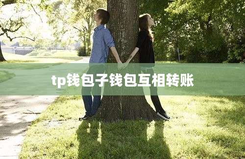 tp钱包子钱包互相转账