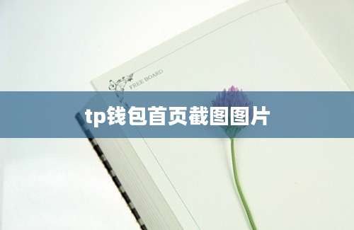 tp钱包首页截图图片
