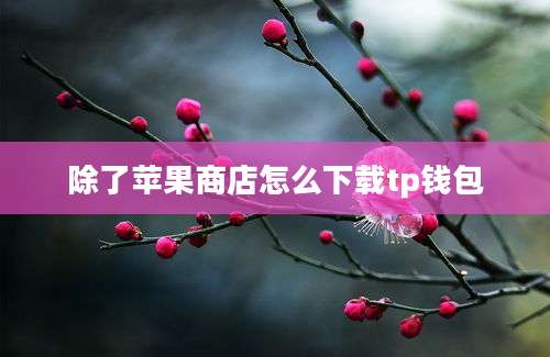 除了苹果商店怎么下载tp钱包