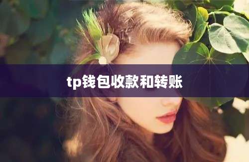 tp钱包收款和转账