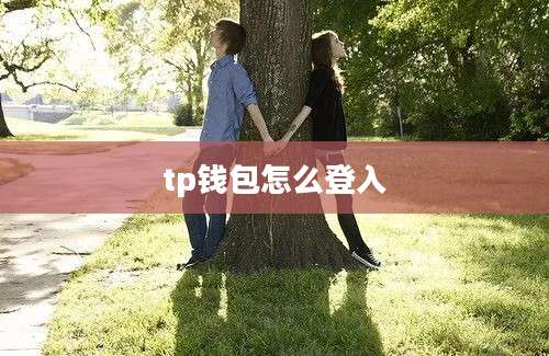 tp钱包怎么登入