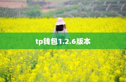 tp钱包1.2.6版本